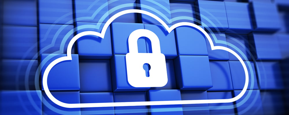 Cloud Computing Security Risk Management | Virginia CPA Firm